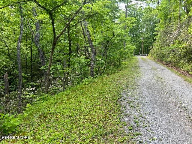 3 Old Cartertown Rd, Gatlinburg, TN 37738