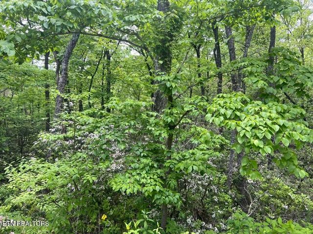 3 Old Cartertown Rd, Gatlinburg, TN 37738