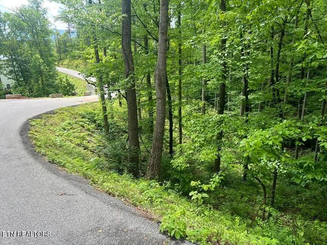3 Old Cartertown Rd, Gatlinburg, TN 37738