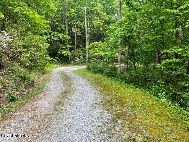 3 Old Cartertown Rd, Gatlinburg, TN 37738