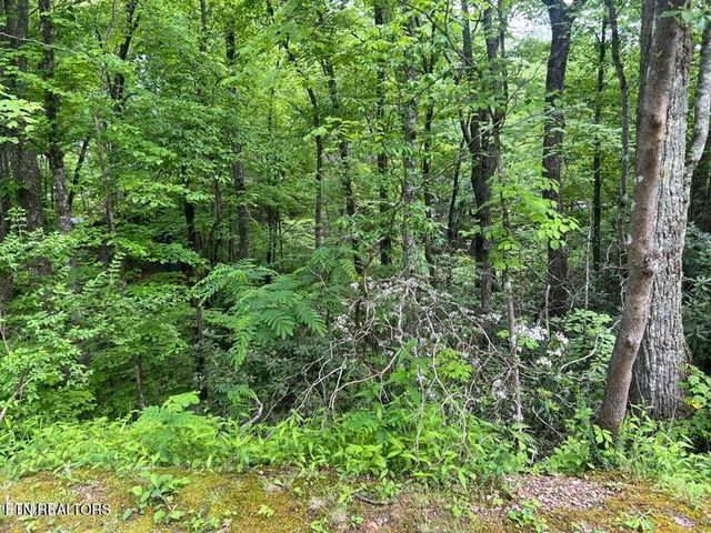 3 Old Cartertown Rd, Gatlinburg, TN 37738