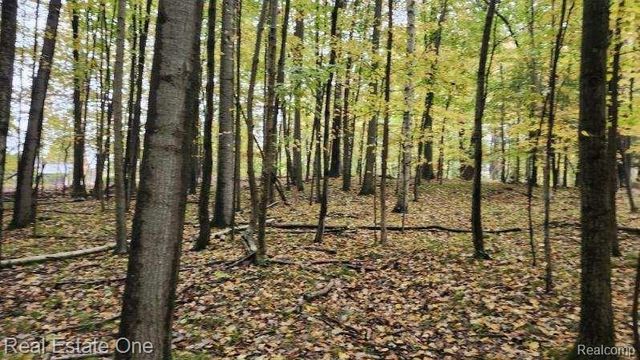 0000 Curtis Rd Curtis Rd, Oxford Charter Township, MI 48367