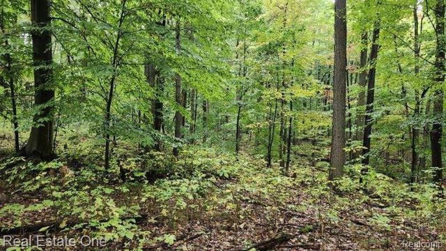 0000 Curtis Rd Curtis Rd, Oxford Charter Township, MI 48367