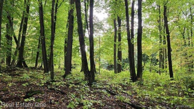 0000 Curtis Rd Curtis Rd, Oxford Charter Township, MI 48367