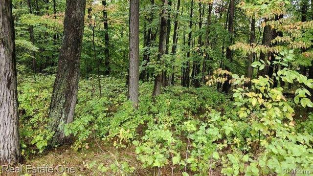 0000 Curtis Rd Curtis Rd, Oxford Charter Township, MI 48367