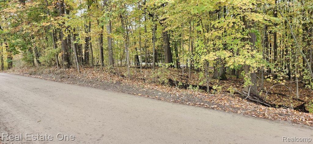 0000 Curtis Rd Curtis Rd, Oxford Charter Township, MI 48367