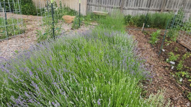 166 S 2ND, Preston, ID 83263