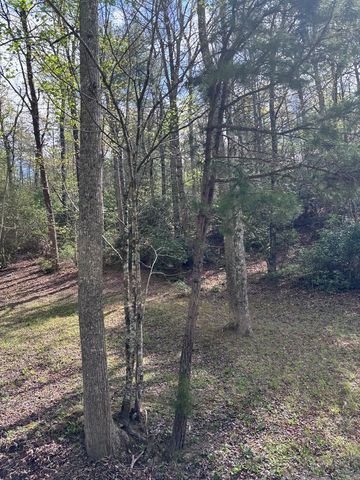 140 Hounds Run Lane, Murphy, NC 28906