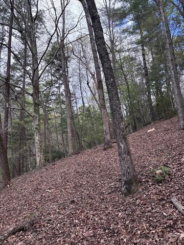 140 Hounds Run Lane, Murphy, NC 28906