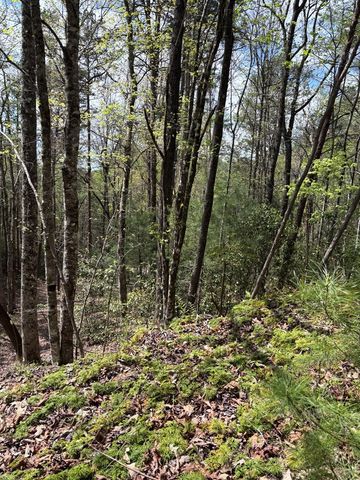 140 Hounds Run Lane, Murphy, NC 28906