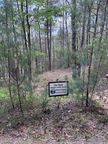 140 Hounds Run Lane, Murphy, NC 28906