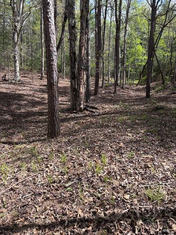 140 Hounds Run Lane, Murphy, NC 28906