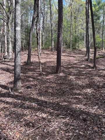 140 Hounds Run Lane, Murphy, NC 28906
