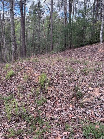 140 Hounds Run Lane, Murphy, NC 28906