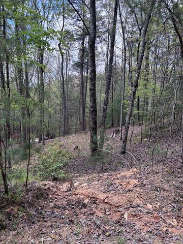 140 Hounds Run Lane, Murphy, NC 28906