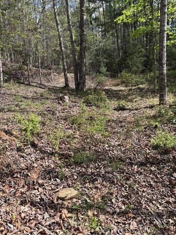 140 Hounds Run Lane, Murphy, NC 28906
