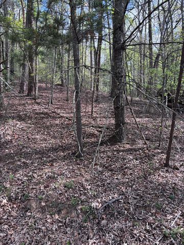 140 Hounds Run Lane, Murphy, NC 28906