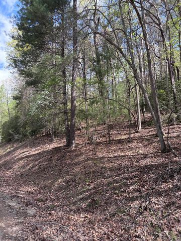 140 Hounds Run Lane, Murphy, NC 28906
