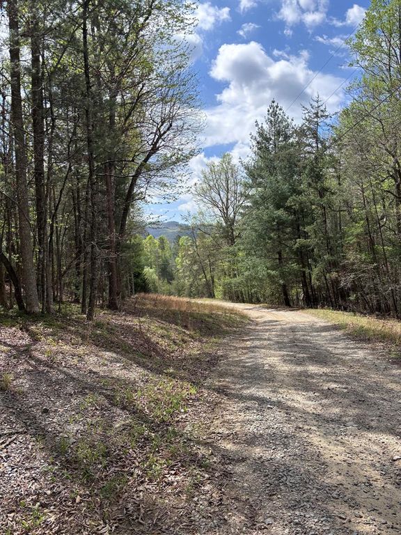 140 Hounds Run Lane, Murphy, NC 28906