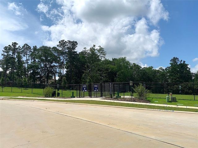 11544 Kalinago View Lane, Conroe, TX 77304