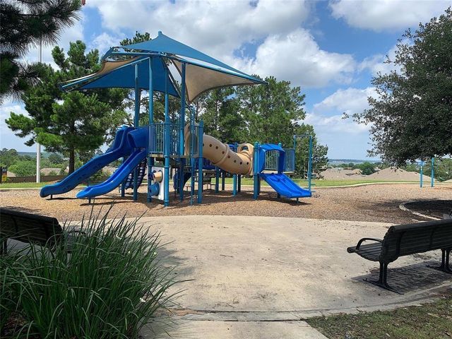 11544 Kalinago View Lane, Conroe, TX 77304