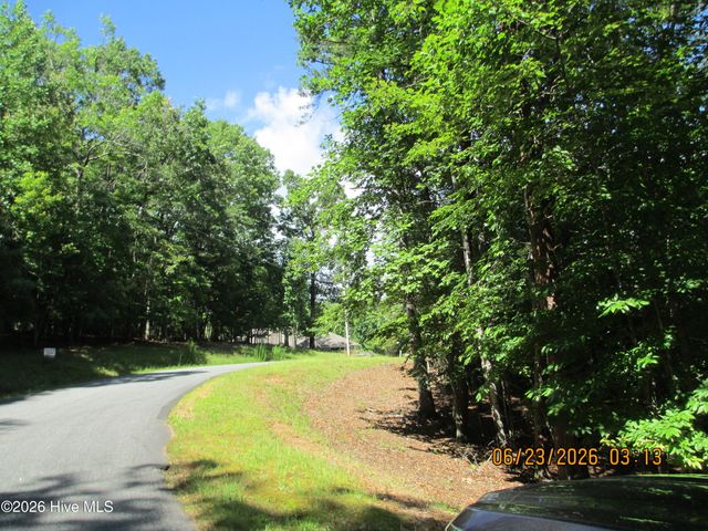 Lot 8, Quail Cove Circle, Warne, NC 28909