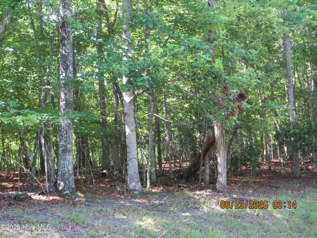 Lot 8, Quail Cove Circle, Warne, NC 28909