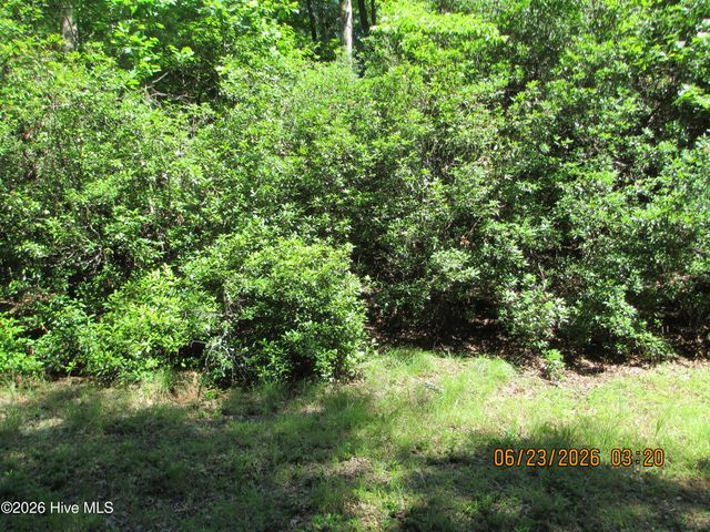 Lot 8, Quail Cove Circle, Warne, NC 28909