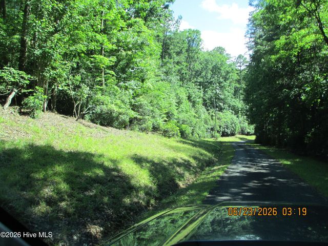 Lot 8, Quail Cove Circle, Warne, NC 28909