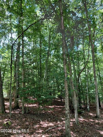Lot 8, Quail Cove Circle, Warne, NC 28909