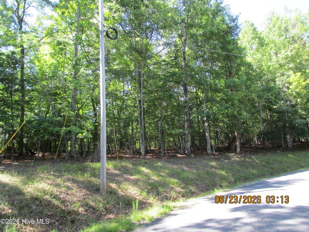Lot 8, Quail Cove Circle, Warne, NC 28909