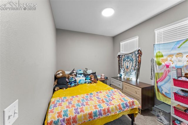 7627 Loopout Grove, Peyton, CO 80831