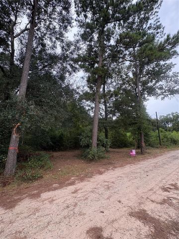 27418 Coral Road, Splendora, TX 77372