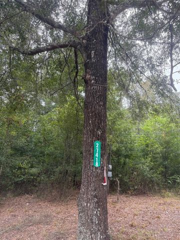 27418 Coral Road, Splendora, TX 77372