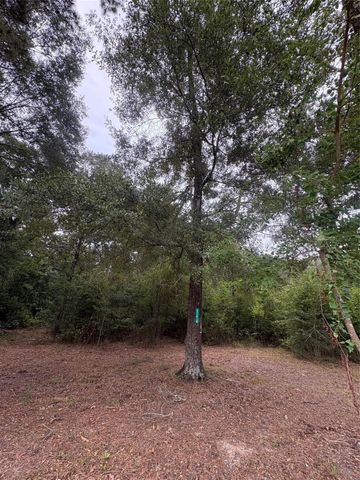 27418 Coral Road, Splendora, TX 77372