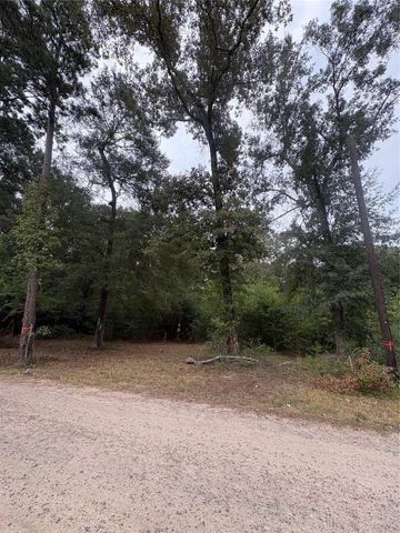 27418 Coral Road, Splendora, TX 77372