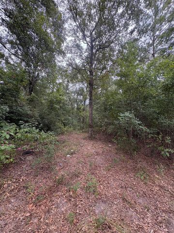 27418 Coral Road, Splendora, TX 77372