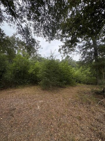27418 Coral Road, Splendora, TX 77372