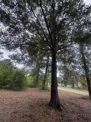 27418 Coral Road, Splendora, TX 77372