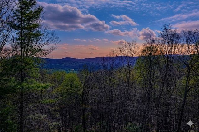 156 Sky High Drive, Ellijay, GA 30536