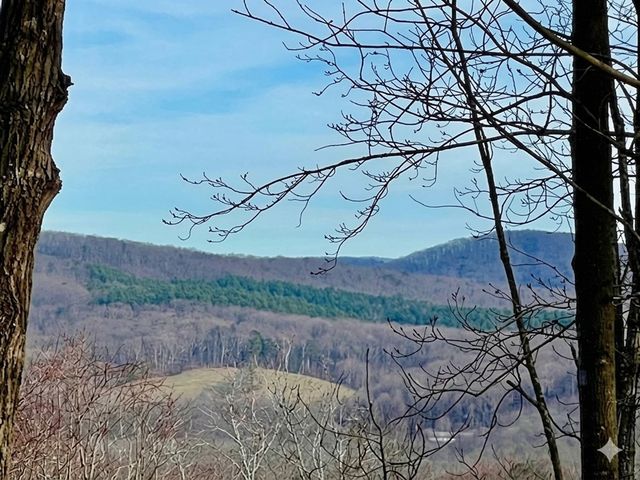 156 Sky High Drive, Ellijay, GA 30536