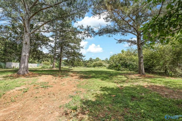 195 Widow Hornbuckle Road, New Market, AL 35761