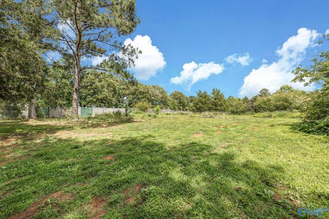 195 Widow Hornbuckle Road, New Market, AL 35761