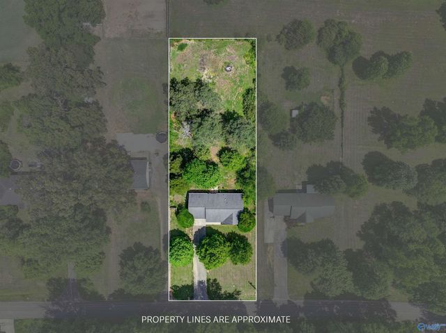 195 Widow Hornbuckle Road, New Market, AL 35761