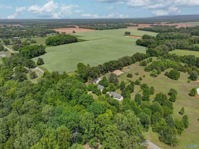 195 Widow Hornbuckle Road, New Market, AL 35761