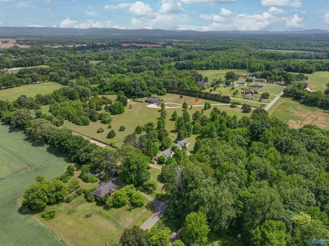 195 Widow Hornbuckle Road, New Market, AL 35761