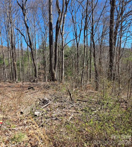 00 Altamont Way, Newland, NC 28657