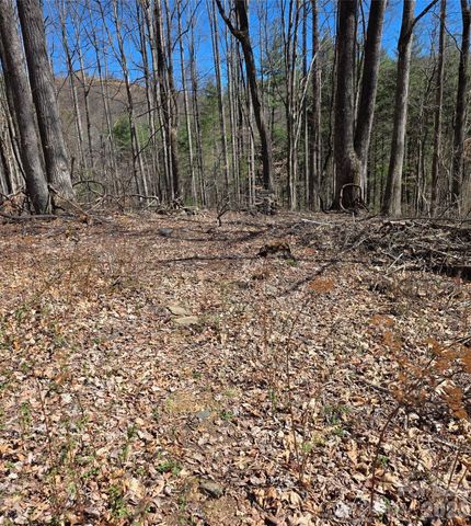 00 Altamont Way, Newland, NC 28657