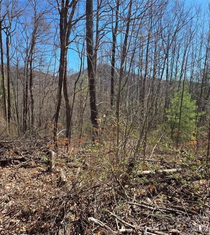 00 Altamont Way, Newland, NC 28657