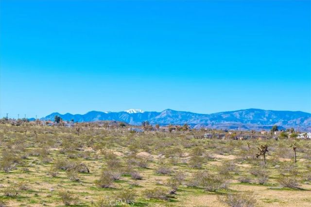 670 Ducor Avenue, Landers, CA 92285